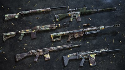 Insurgency: Sandstorm - Hunter Weapon Skin Set — скриншот 1