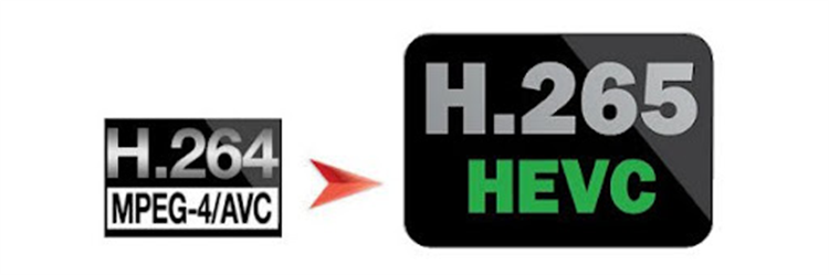 H.264(AVC) to H.265(HEVC) converter - PC - (Windows)