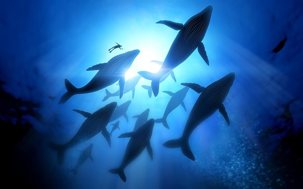 #1. Migration (Windows) 由: Microsoft Corporation