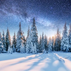Winter Wonderland Trek