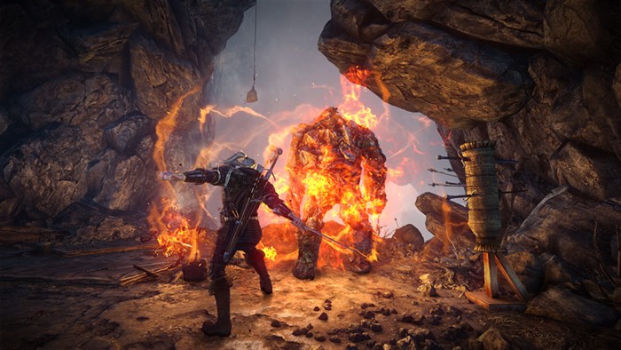 The Witcher 2: Assassins of Kings — скриншот 16