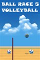 Ball Race 5: Volleyball