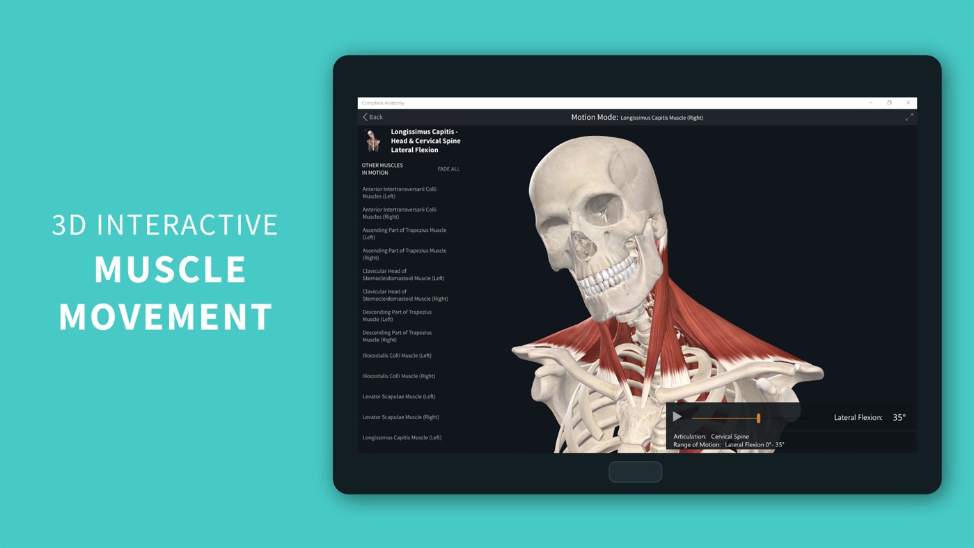 #3. Complete Anatomy 2023 (Windows) 来自: 3D4Medical