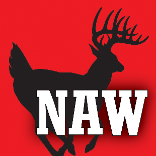 North American Whitetail