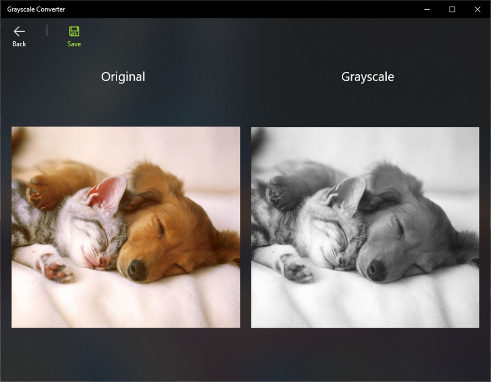 #2. Image to Grayscale Converter - Pro (Windows) Ved: Roberto Baruffa - Pro