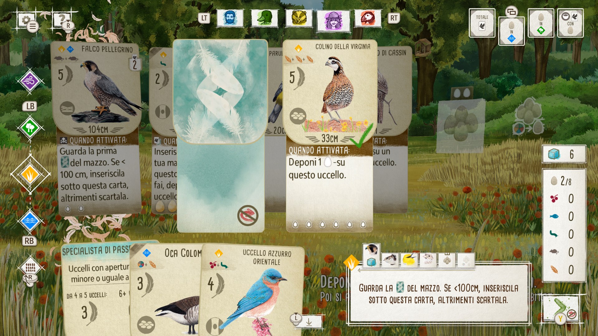 Birds and Cats | Xbox | Chiave | Privato