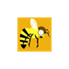 Bomber Bee