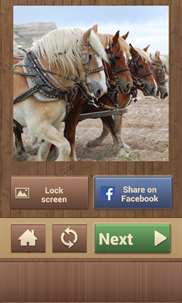 Horse Puzzles Free screenshot 8