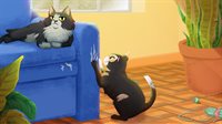 Roll The Cat