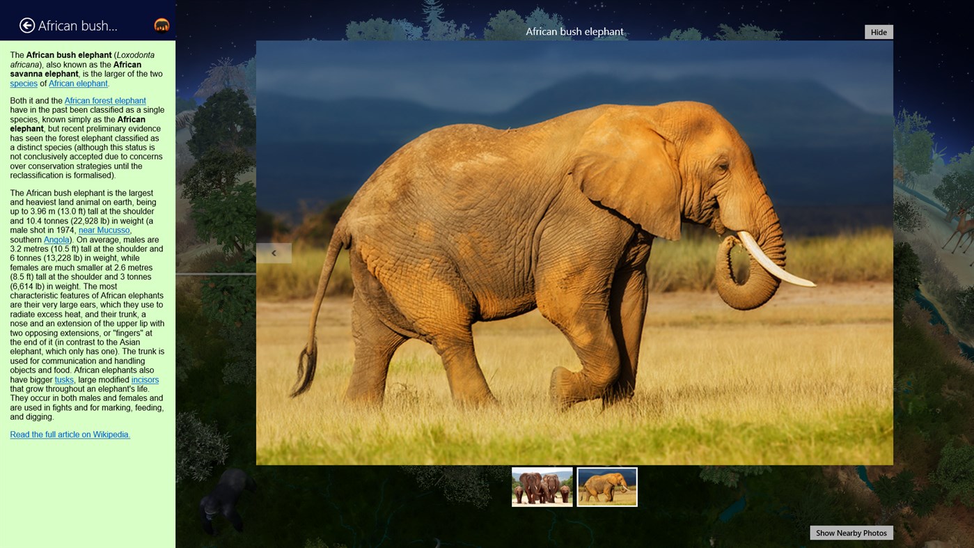 #3. Earth 3D - Animal Atlas (Windows) От: 3Planesoft