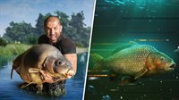 Fishing Sim World: Pro Tour + The Catch: Carp & Coarse