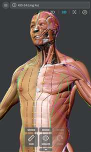 Visual Acupuncture 3D - Human screenshot 1