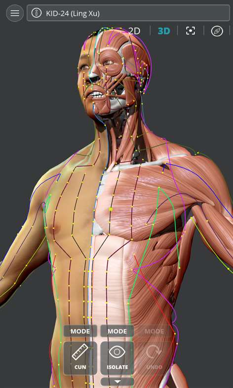 Visual Acupuncture 3D - Human Screenshots 1