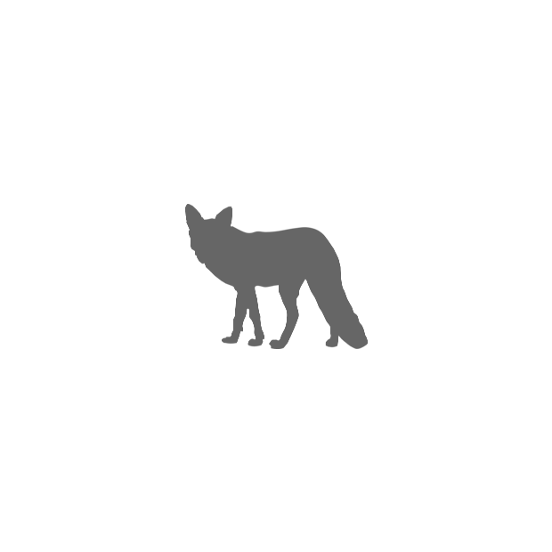 GrayFox