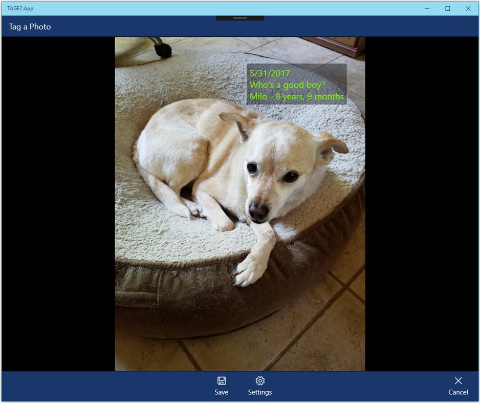 #5. TAGE - Photo Tag (Windows) Göre: Nomial Software, LLC