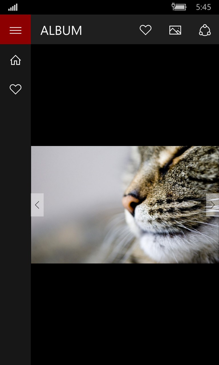 Get Free Cat Wallpapers Microsoft Store
