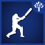 T20 Cricket Fever'14