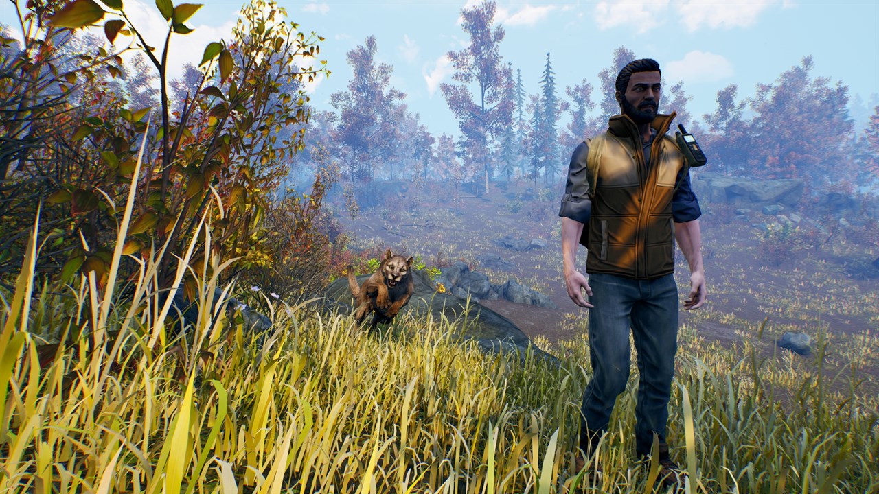 Open Country screenshot 2