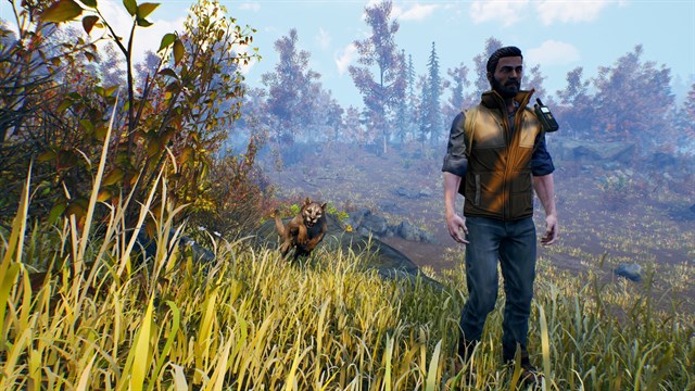 Open Country screenshot 2