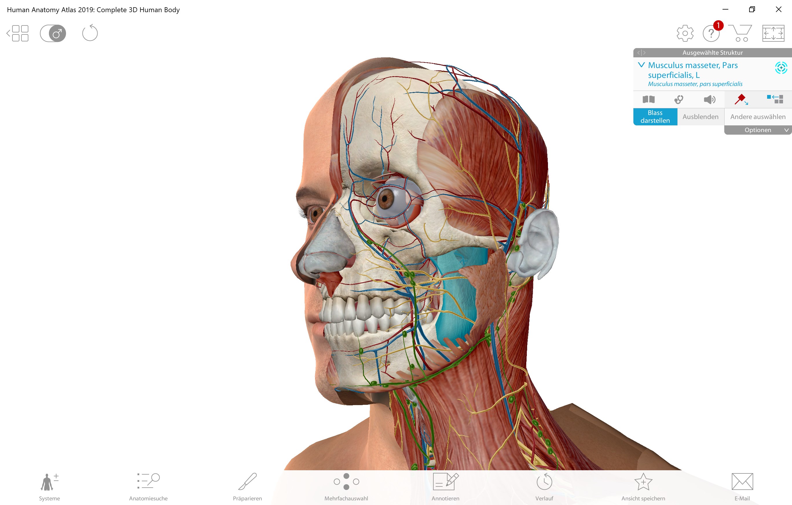 Atlas Der Humananatomie 19 Korper Des Menschen In 3d Kaufen Microsoft Store De De