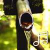 Rain Sounds:The Best of High Quality Nature Sounds With Ocean Waves