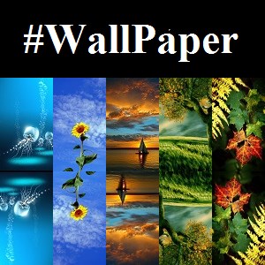 #WallPaper
