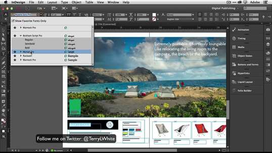 Adobe Indesign Class screenshot 5