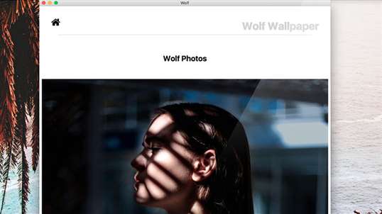Wolf (Wallpaper Camera) screenshot 2