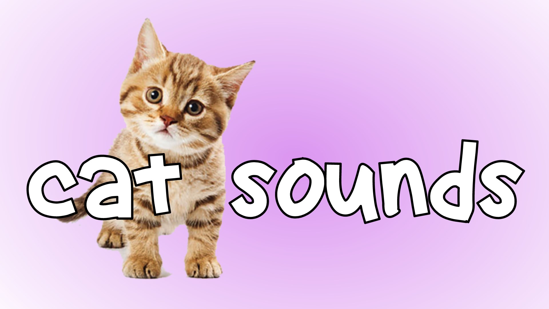 Get Cat Sounds Soundboard Microsoft Store enIN