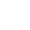 Zapi Quake