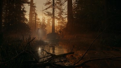 Alan Wake 2 — скриншот 8