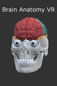 Brain Anatomy VR