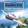Guides For MS Flight Simulator