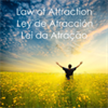 Law of Attraction - Method and Quotes