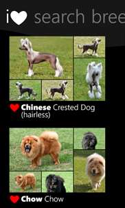 Dog Breeds screenshot 6