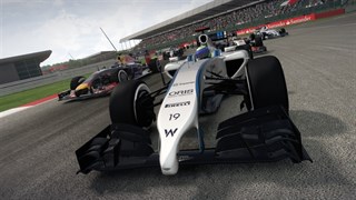 F1™ 2014 screenshot 6