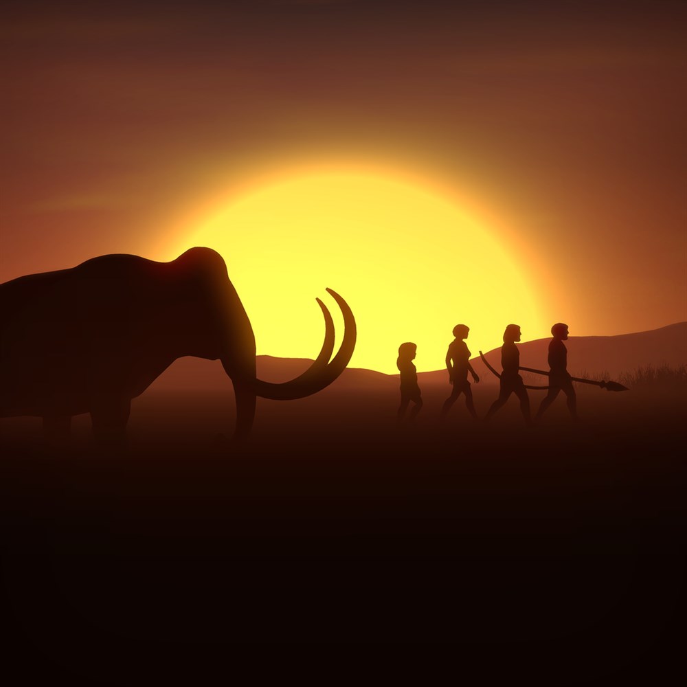 Dawn of Man cover art (full size)