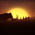 Dawn of Man