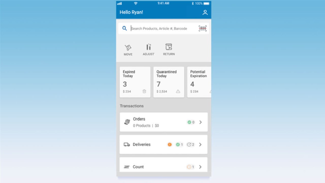Snapshot 2 of Luminate Store Execution