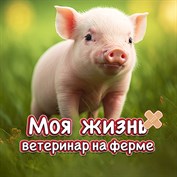 нет доступного описания
