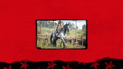 Red Dead Redemption 2: Förbeställningsbonusar