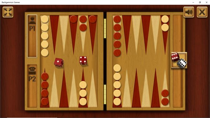 I bought a new backgammon game! : backgammon