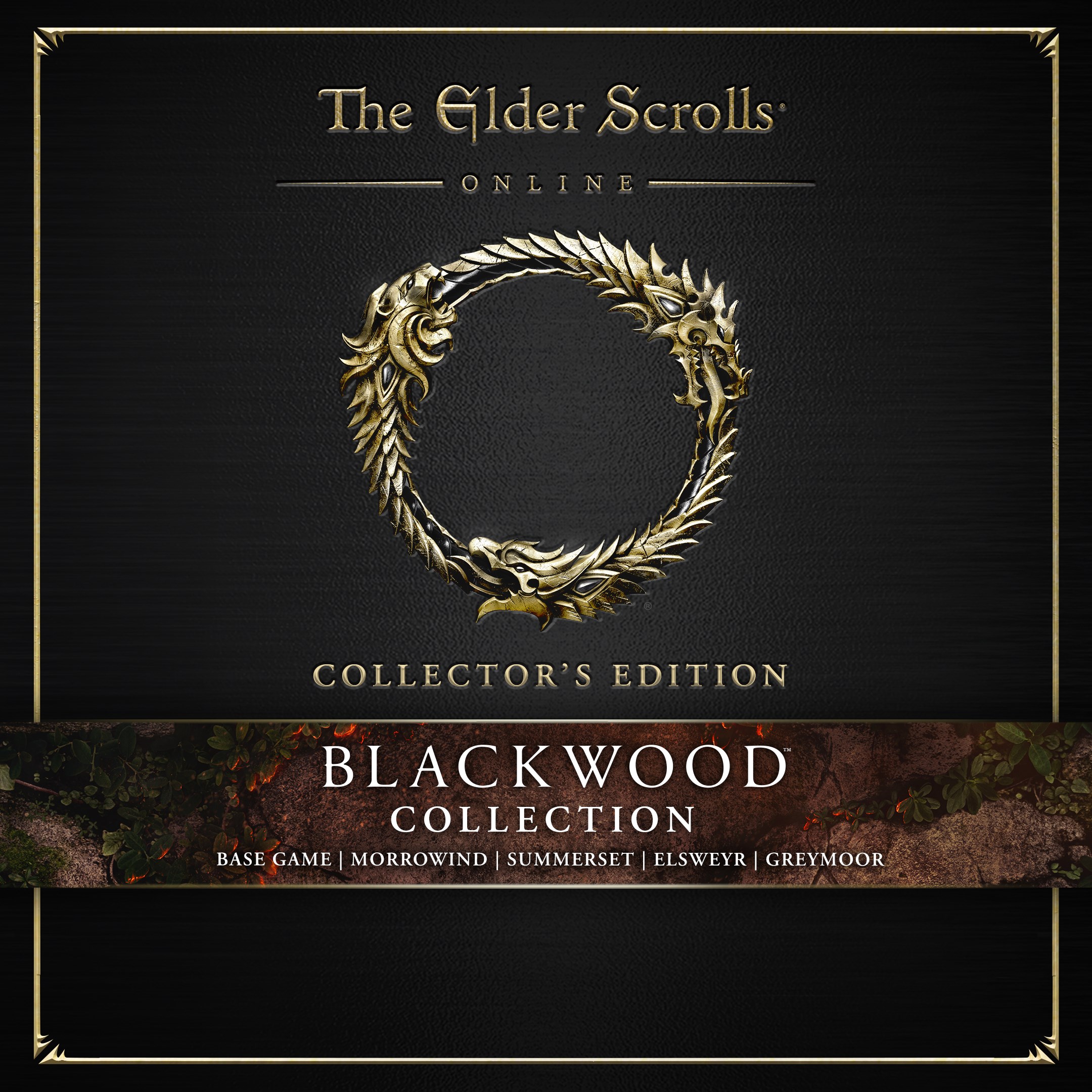 The Elder Scrolls Online Collection: Blackwood CE