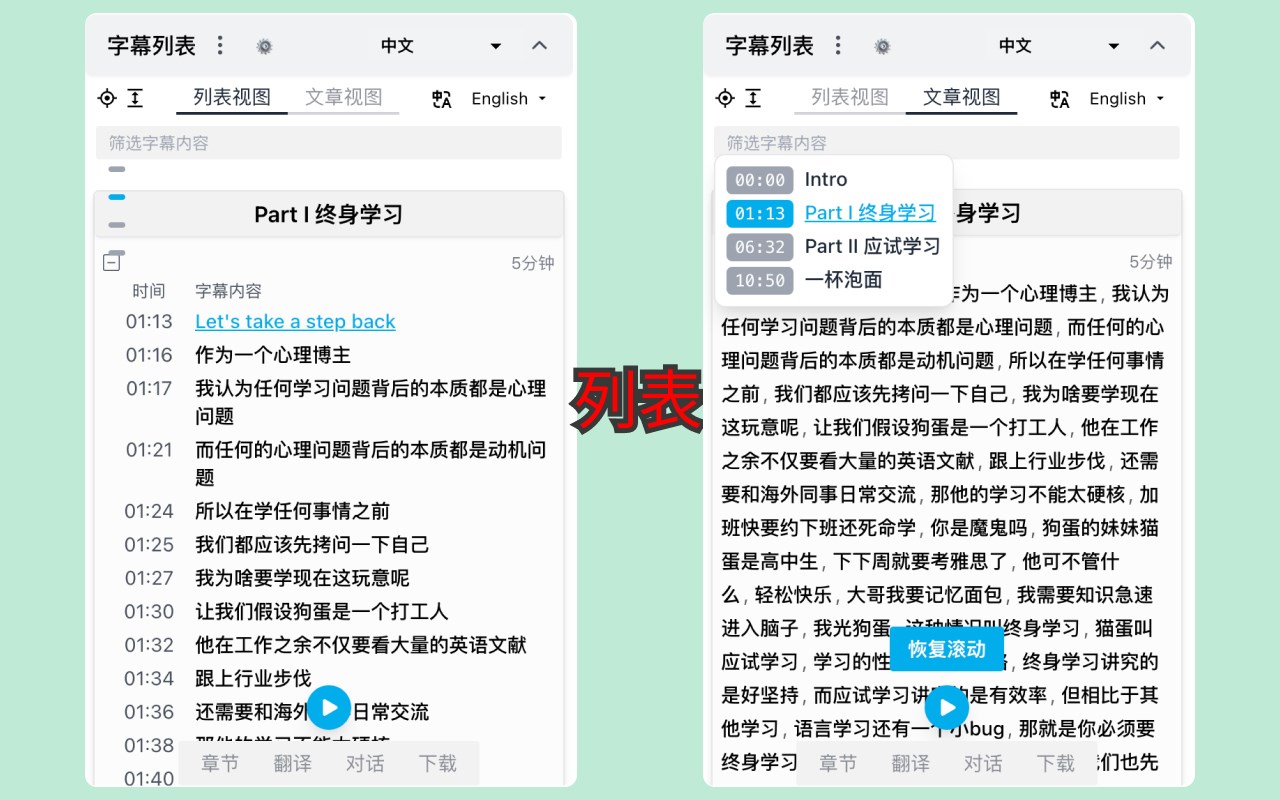 vCaptions - 给任意网站视频添加字幕列表
