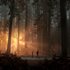 Life is Strange 2 - Saison complète