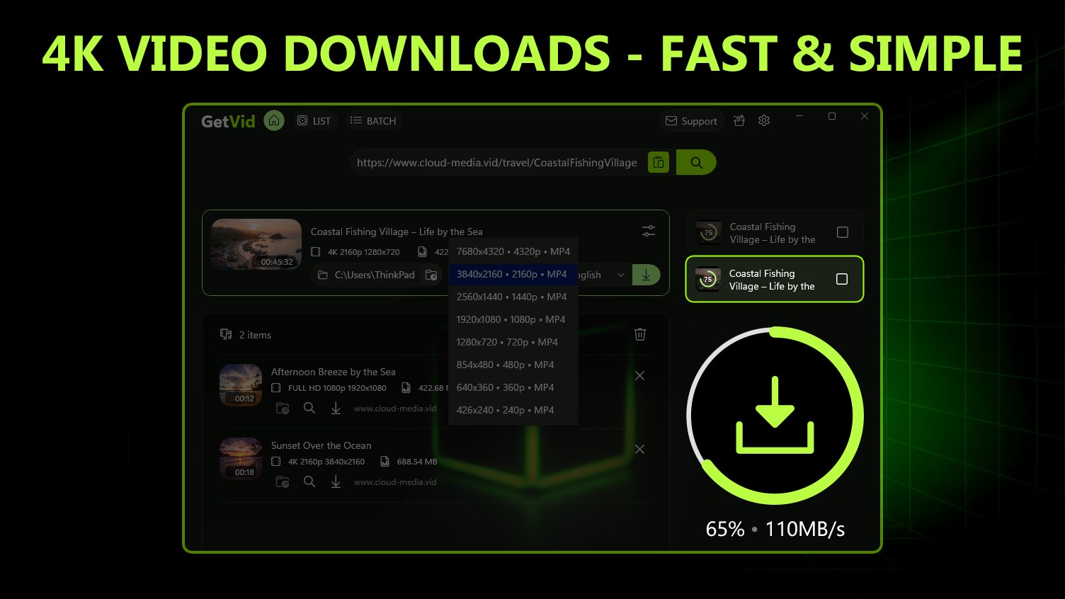 Video Downloader 4K - Bulk GetVid screenshot