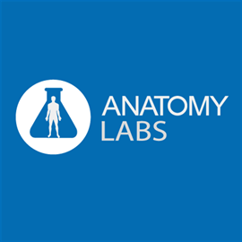 Anatomy Labs Demo