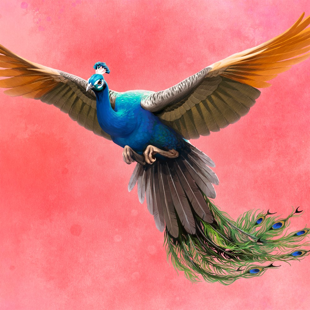 WINGSPAN (展翅翱翔)：亞洲篇 cover art (full size)