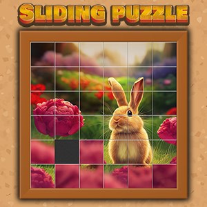 Sliding Puzzle Deluxe for PC & XBOX