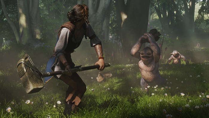 Fable Standard Edition — скриншот 10
